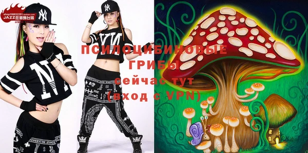 спайс Абаза