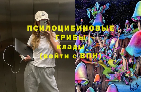 спайс Абаза