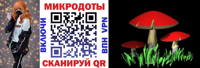 omg маркетплейс  где найти   Калининград  Псилоцибиновые грибы мицелий 